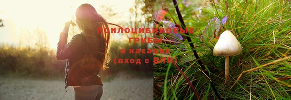 бошки Зеленодольск